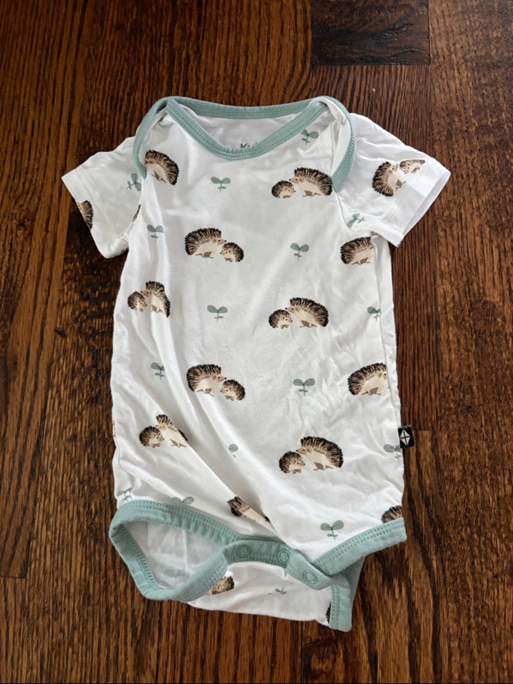 Kyte Baby | Baby One-Piece Bodysuit in White with Mint Trim and Hedgehog Print